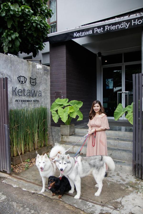 Ketawa Pet Friendly Hotel Chiang Mai Exterior foto